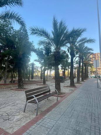 Продажа квартиры на Piso en Los Magros-Casablanca, Elche / Elx, Эльче / Эльх
photo 1