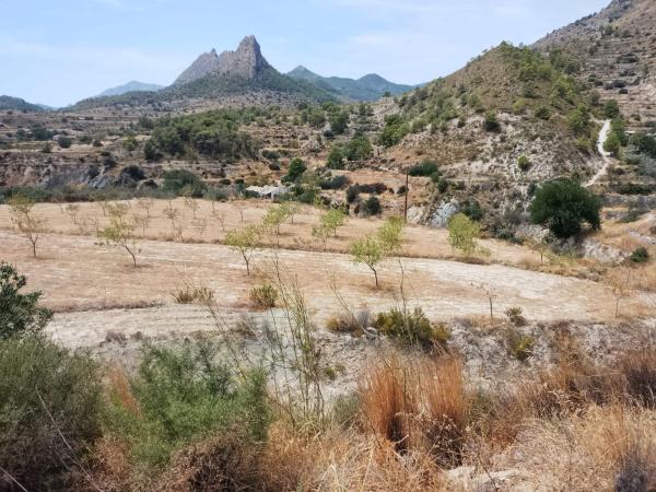 Terreno en Huertas s/n, Relleu thumbnail 2