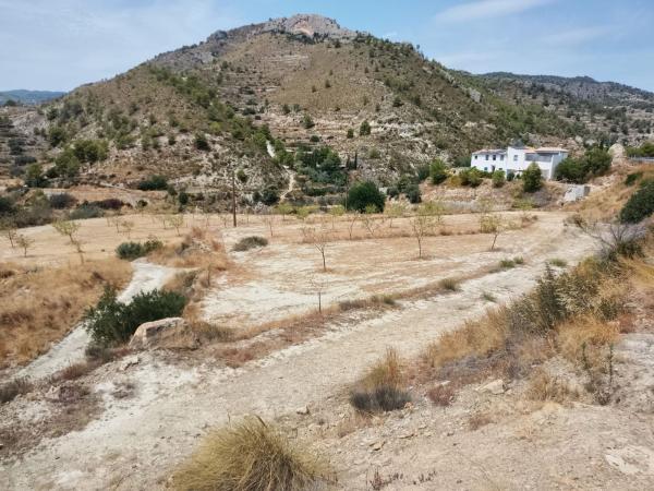 Terreno en Huertas s/n, Relleu photo 4