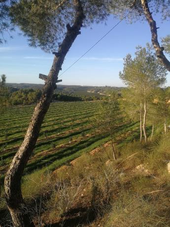 Terreno en Beniarrés photo 1