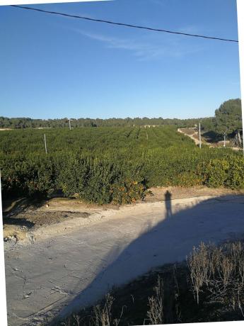 Terreno en Beniarrés photo 3