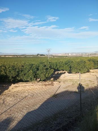 Terreno en Beniarrés photo 4