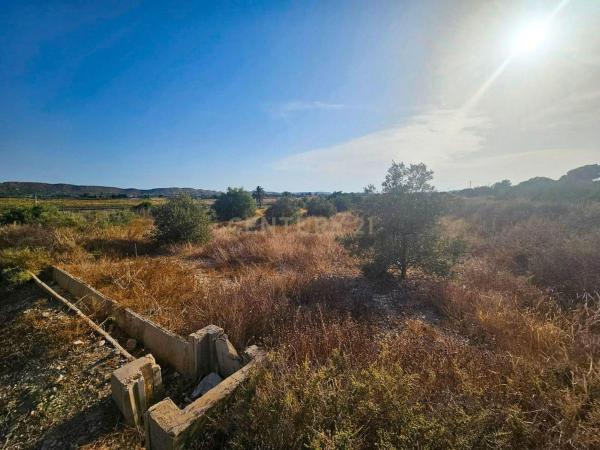 Terreno en Diseminado Vallonga, Ciudad de Asís - Font-Calent - El Bacarot, Alicante / Alacant thumbnail 1