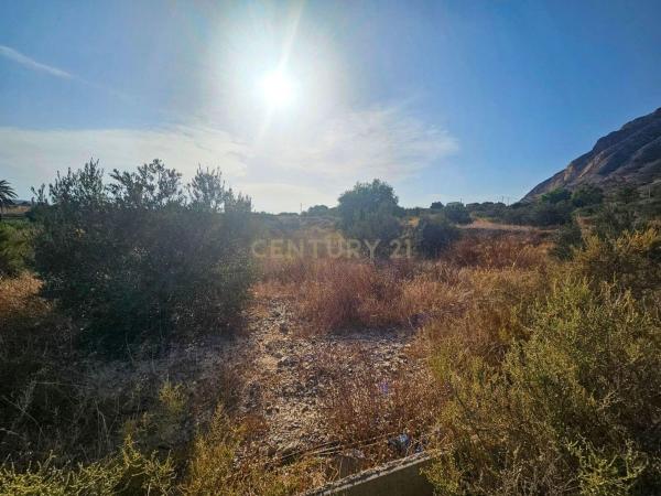 Terreno en Diseminado Vallonga, Ciudad de Asís - Font-Calent - El Bacarot, Alicante / Alacant photo 4