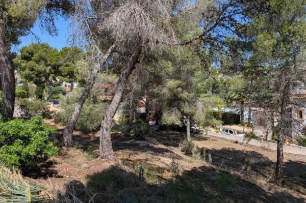 Terreno en Pinar de Advocat-Cometa, Moraira photo 4