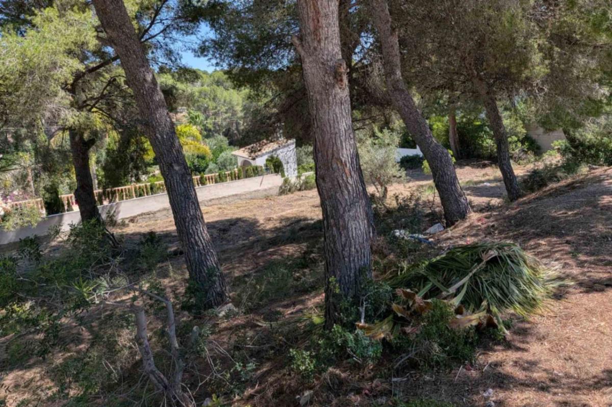 Terreno en venta en Moraira, Alicante photo 5