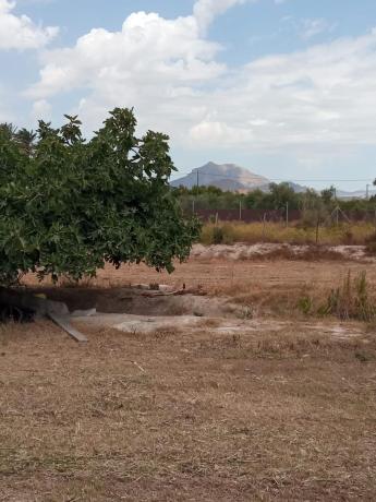 Terreno en Centro, Mutxamel photo 1