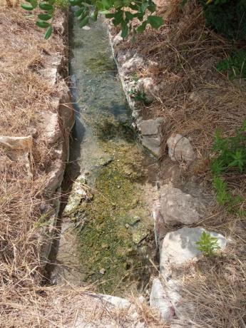 Terreno en Centro, Mutxamel photo 3