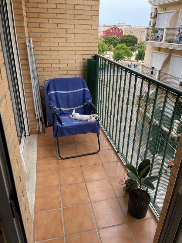 Sale of apartment in Piso en Calle Donadores, 3, Almoradí, Almoradí
photo 3