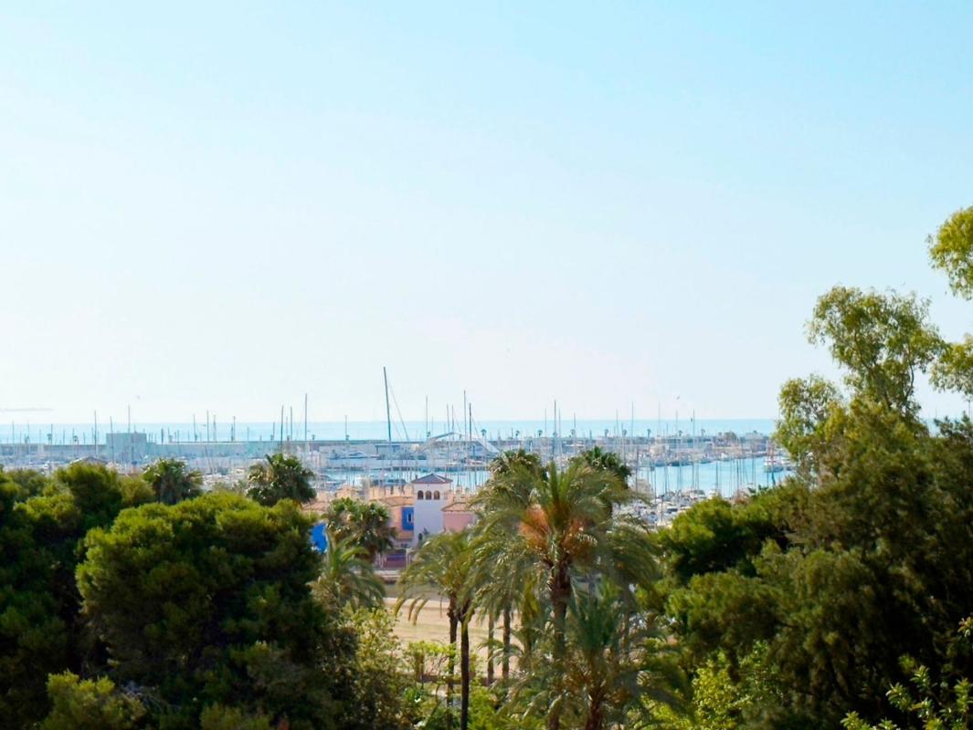 Venta de piso en Piso en El Acequión, Torrevieja, Torrevieja
photo 1
