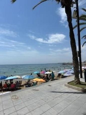 Продажа квартиры на Piso en Playa del Cura, Torrevieja, Торревьеха
 photo 2
