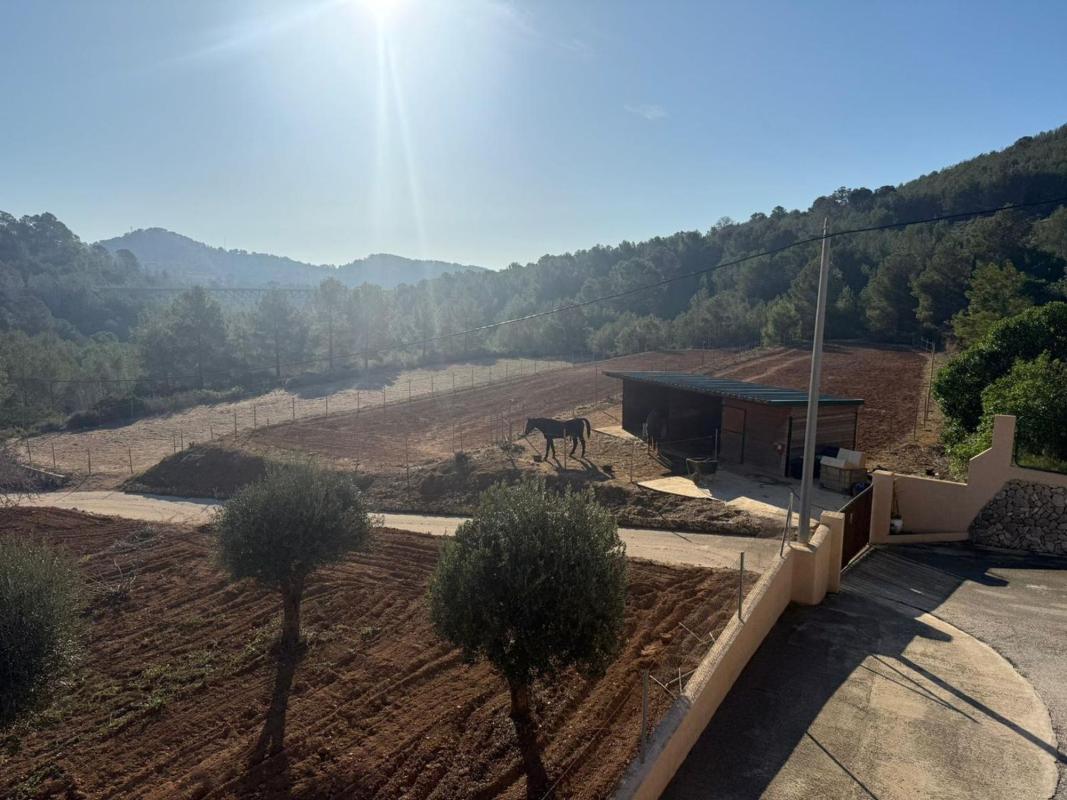 Sprzedaż działki rolnej w Finca rústica en Benissa pueblo, Benissa , Benissa photo 5