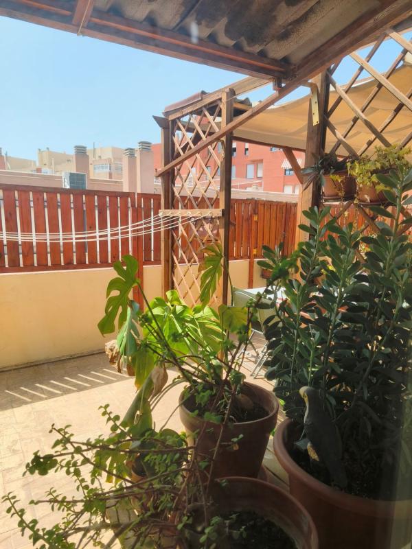 Продажа пентхауса на Ático en Calle General Ros de Olano, 18, Altozano, Alicante / Alacant, Аликанте / Алакант photo 2