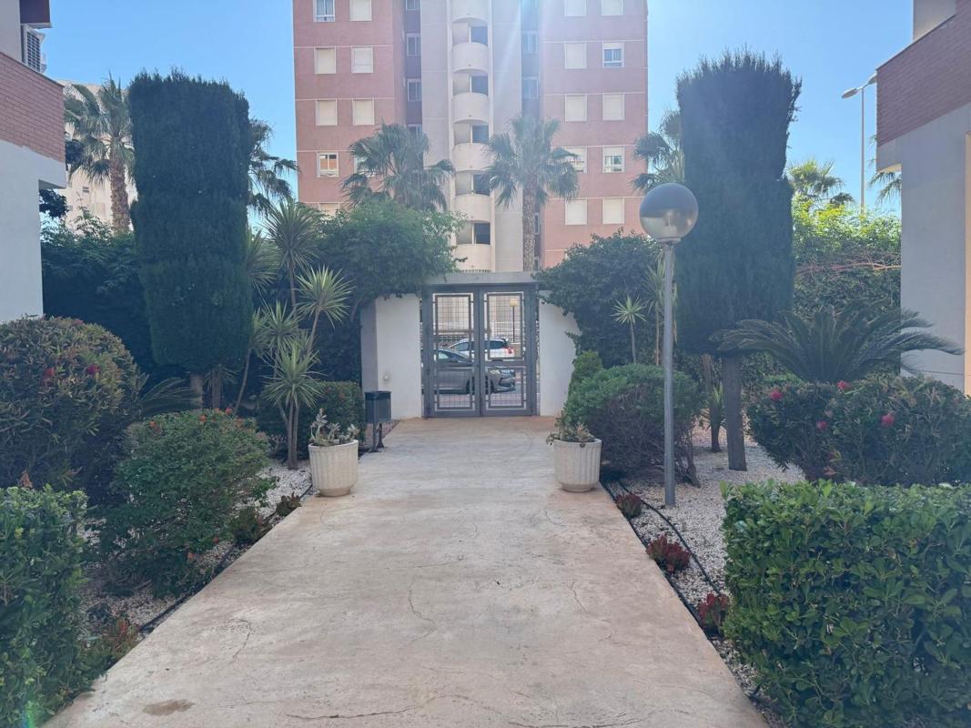 Venta de piso en Piso en Avenida del Puerto, 33, Puerto Deportivo, Guardamar del Segura, Guardamar del Segura
 photo 4