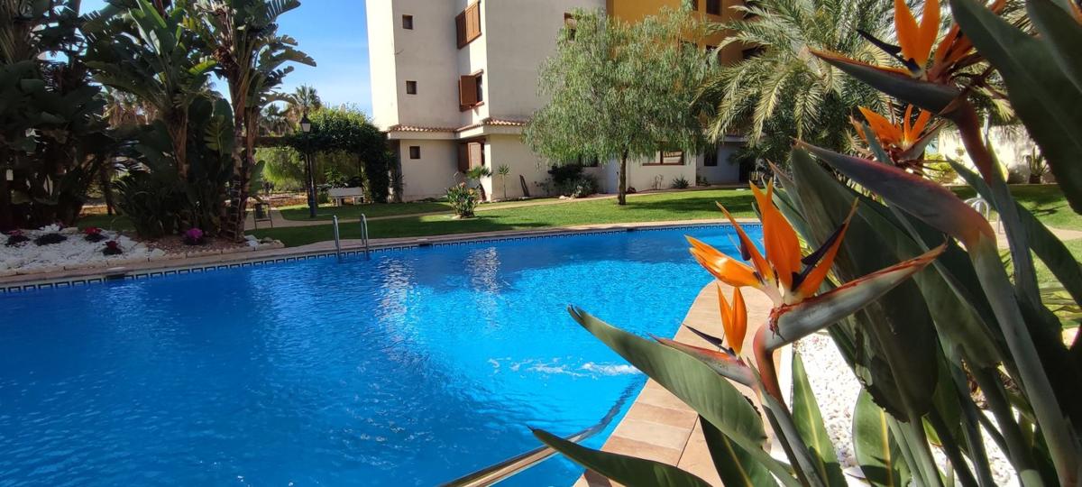 Sale of apartment in Piso en Avenida de las Olas s/n, Punta Prima, Torrevieja, Torrevieja
photo 3