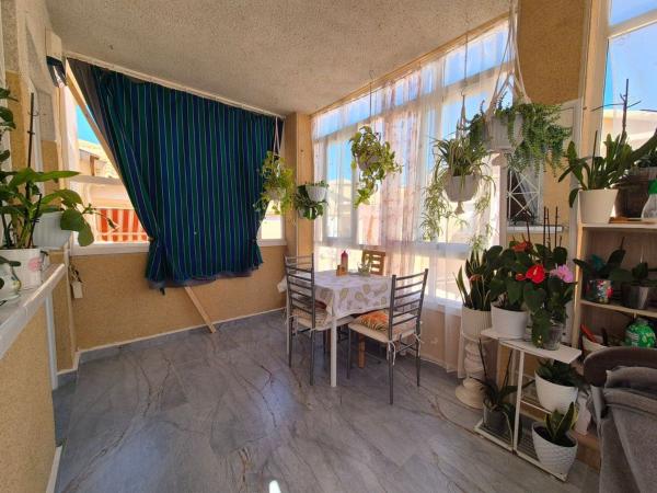 Casa o chalet independiente en Puerto Deportivo, Torrevieja photo 4