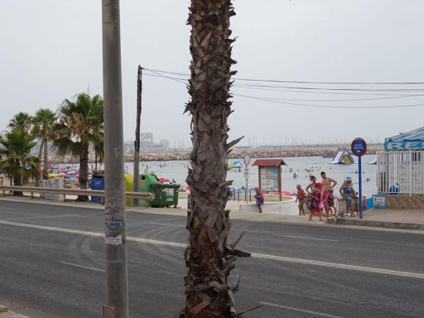 Chalet pareado en Avenida Desiderio Rodríguez, 30, Playa de los Náufragos, Torrevieja thumbnail 2