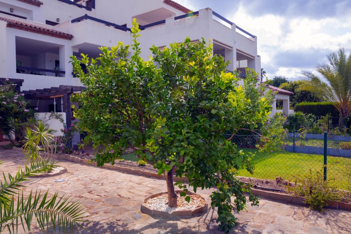 Venta de piso en Piso en Calle Casares Golf Garden, 3, Casares Golf - Casares del Sol, Casares, Casares
photo 5