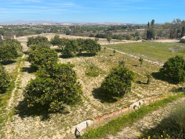 Independent chalet for sale in Casa o chalet en Pueblo Lucero, Rojales, Rojales
thumbnail 2