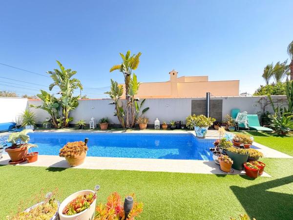 Casa o chalet independiente en Calle Jorge Manrique, La Siesta - El Salado - Torreta, Torrevieja photo 3