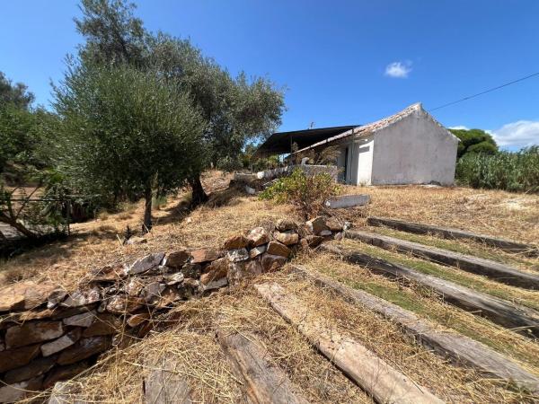 Finca rústica en venta en Finca rústica en Mijas Golf, Mijas , Mijas thumbnail 1