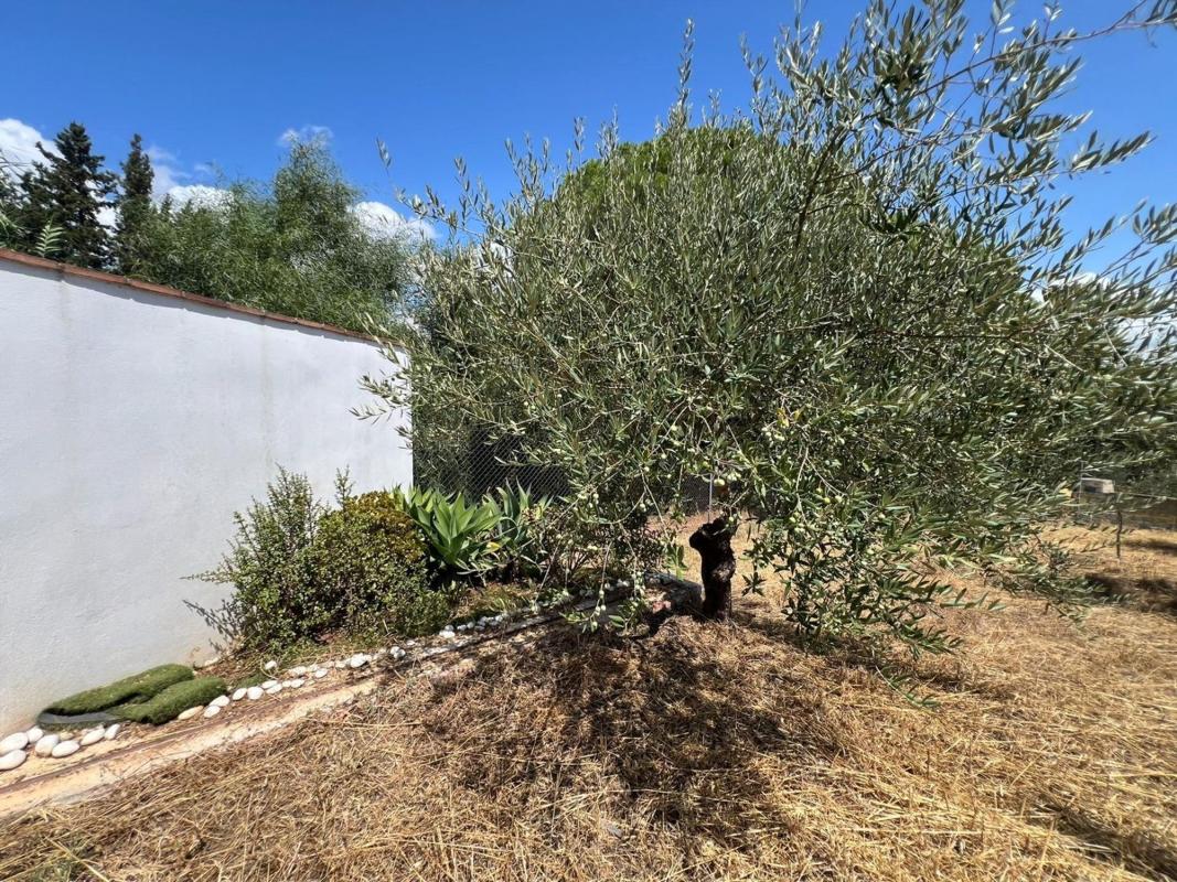 Продажа загородного участка в Finca rústica en Mijas Golf, Mijas , Михас photo 5