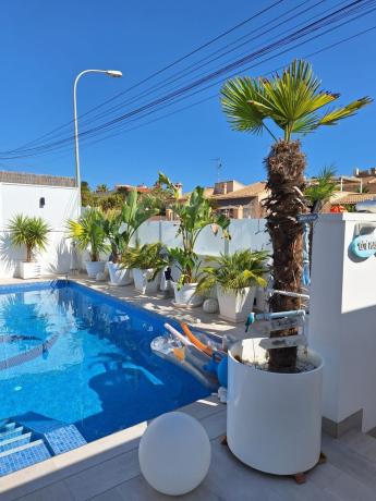 Chalet pareado en Calle del Tomillo, El Molino, Torrevieja photo 4
