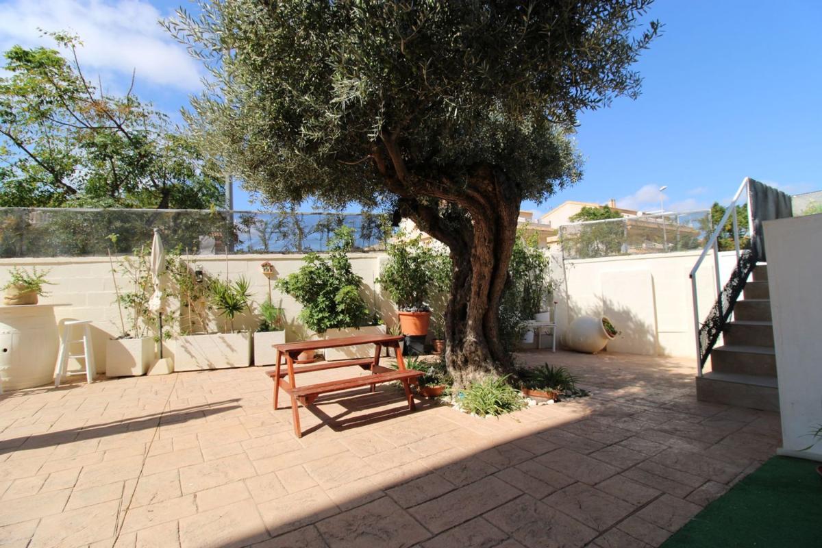 Properties for sale and rent in Spain photo 4