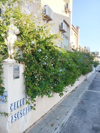 Chalet pareado en Avenida Vicente Blasco Ibáñez, 224, Tamarit - Playa Lissa, Santa Pola thumbnail 2