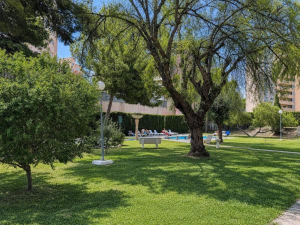 Продажа квартиры на Piso en Avenida de Cataluña, Playa de San Juan, Alicante / Alacant, Аликанте / Алакант
 photo 3