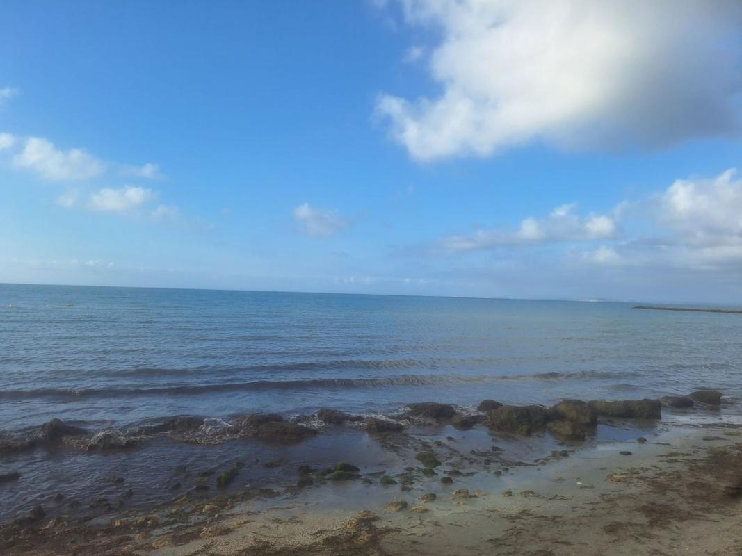 Продажа квартиры на Piso en Isla, 2, Centro, Santa Pola, Санта Пола
photo 3