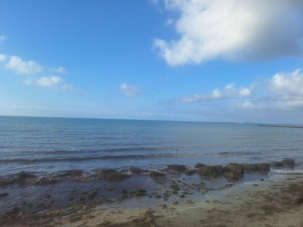 Venta de piso en Piso en Isla, 2, Centro, Santa Pola, Santa Pola
thumbnail 2