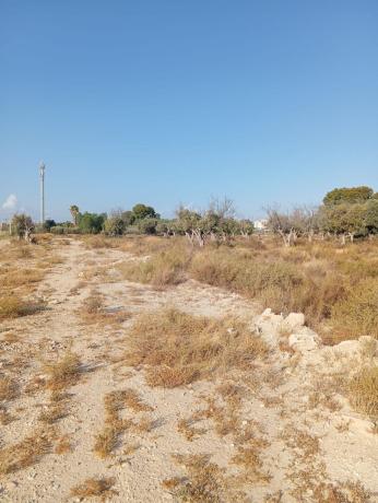 Terreno en Avenida Mutxamel, 9, Centro, Mutxamel thumbnail 1