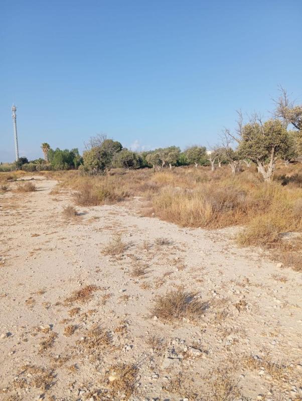 Terreno en venta en Mutxamel, Alicante photo 5