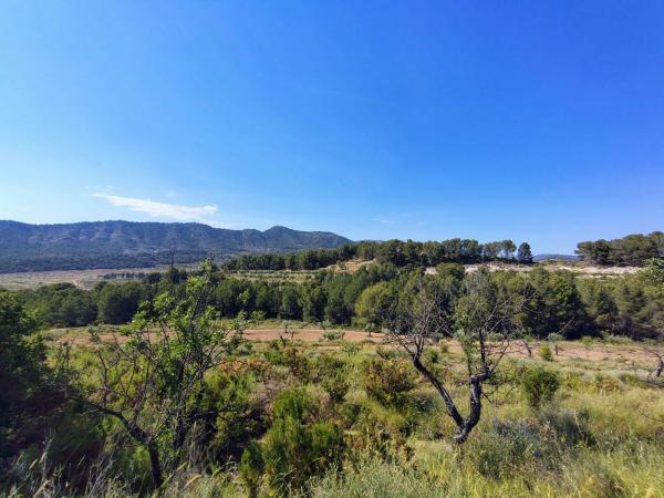 Terreno en Serratella, 12, Torremanzanas thumbnail 1