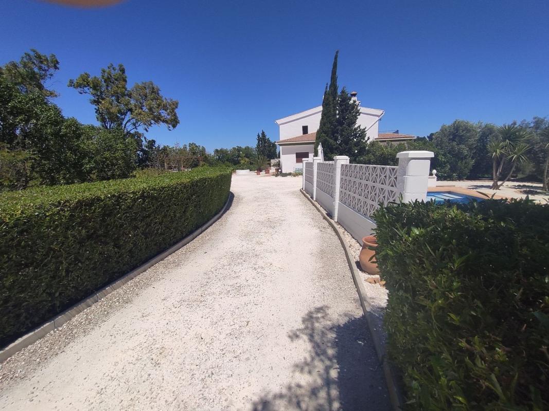 Properties for sale and rent in Spain photo 3