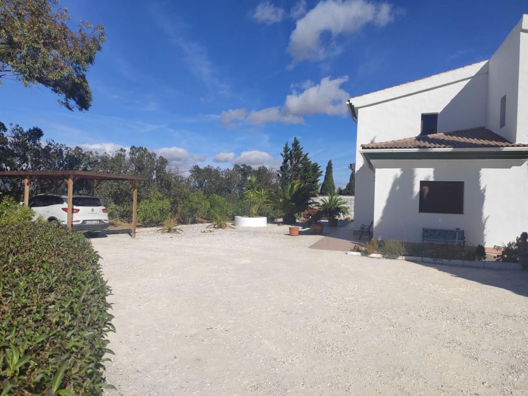 Properties for sale and rent in Spain photo 4