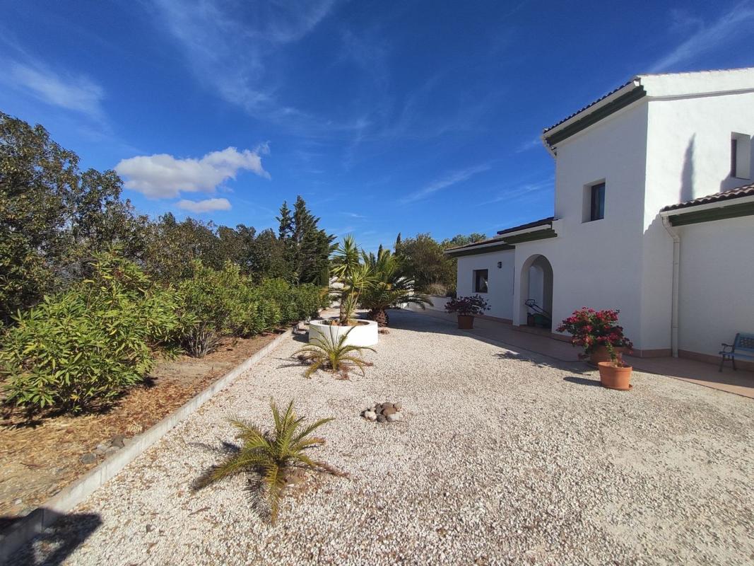 Properties for sale and rent in Spain photo 5