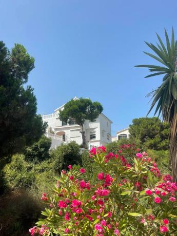 Casa o chalet independiente en Calaburra - Chaparral, Mijas photo 4