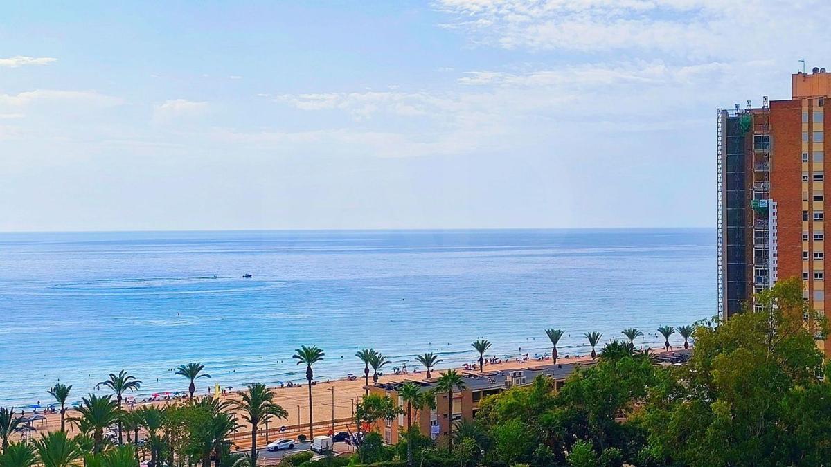 Продажа квартиры на Piso en Calle Elda s/n, Playa Muchavista, El Campello, Эль Кампельо
photo 4
