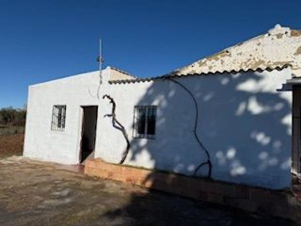 Cortijo en A-366 s/n, Partidas norte, Ronda photo 4
