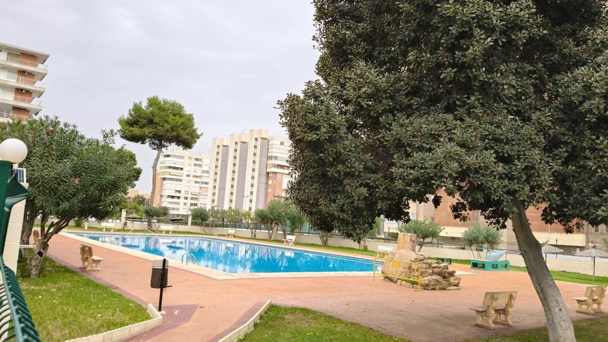 Sale of apartment in Piso en Avenida Bruselas, Playa de San Juan, Alicante / Alacant, Alicante
photo 3
