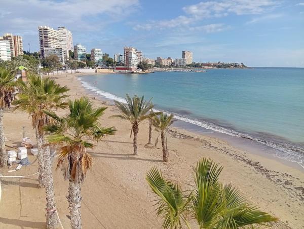 Venta de piso en Piso en Avenida Albufereta, La Albufereta, Alicante / Alacant, Alicante / Alacant
thumbnail 2