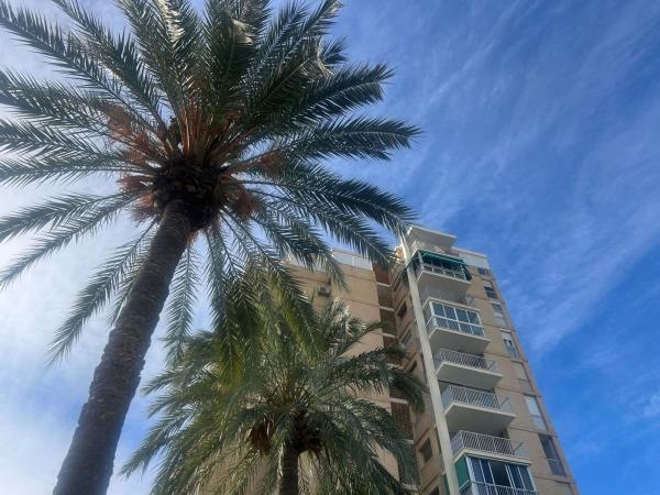 Venta de piso en Piso en Avenida Santander, 15, Playa de San Juan, Alicante / Alacant, Alicante / Alacant
photo 1