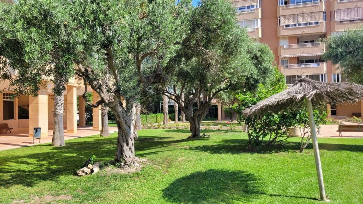Venta de piso en Piso en Avenida Países Escandinavos, Playa de San Juan, Alicante / Alacant, Alicante / Alacant
photo 3