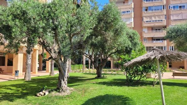 Venta de piso en Piso en Avenida Países Escandinavos, Playa de San Juan, Alicante / Alacant, Alicante / Alacant
 photo 4