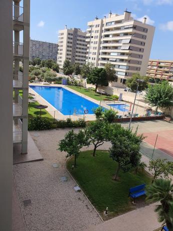 Venta de piso en Piso en Torero Luis Francisco Esplá, 14, PAU 5, Alicante / Alacant, Alicante / Alacant
 photo 1