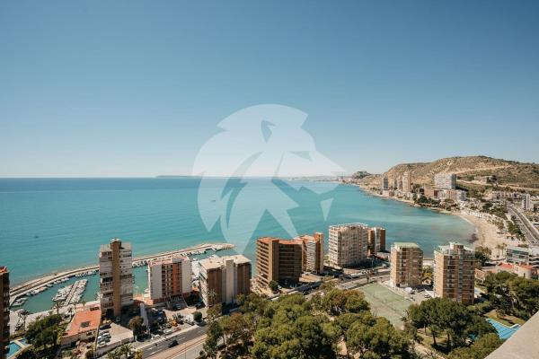 Venta de piso en Piso en Calle Diosa Tanit, La Albufereta, Alicante / Alacant, Alicante / Alacant
photo 1