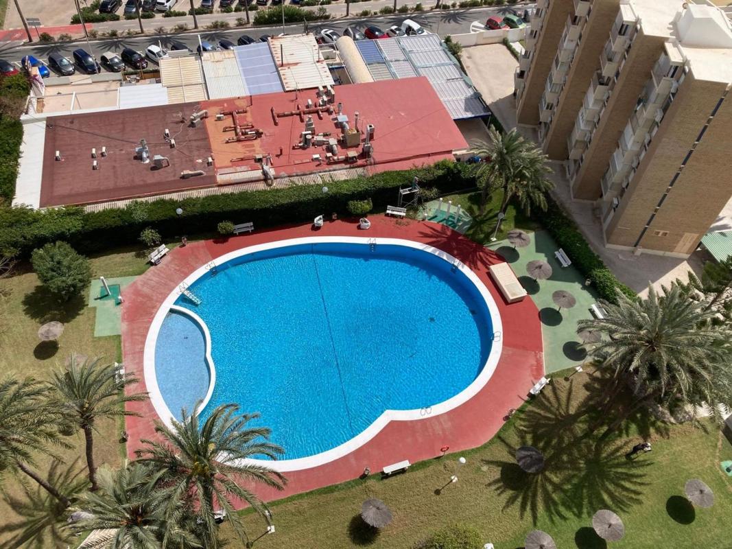 Venta de piso en Piso en Avenida de Niza, 22, Playa de San Juan, Alicante / Alacant, Alicante / Alacant
photo 5
