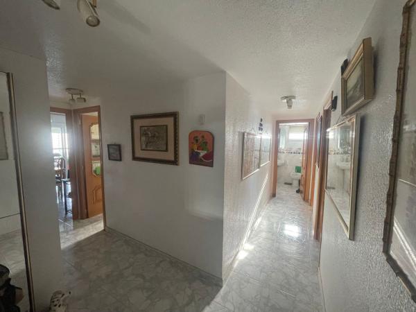Venta de piso en Piso en Avenida de la Costa Blanca, 117, Playa de San Juan, Alicante / Alacant, Alicante / Alacant
 photo 4